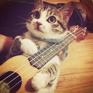 JUIiaann大屁股潮喷
